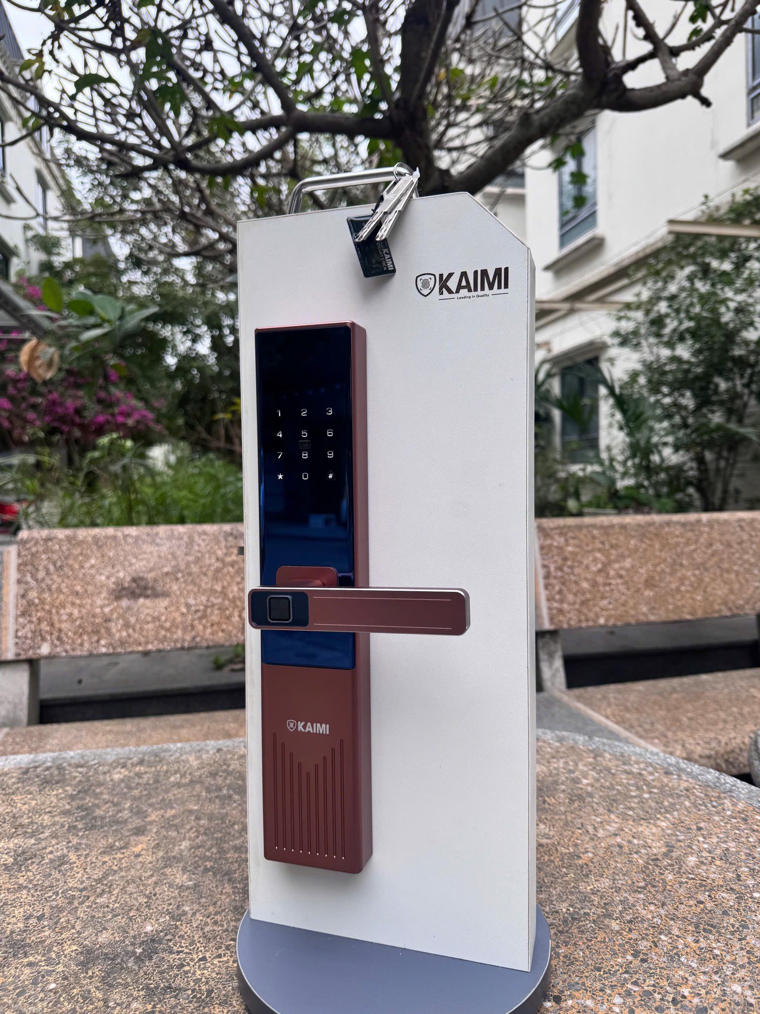 Ảnh thực tế khóa vân tay Kaimi KF-26 màu đồng