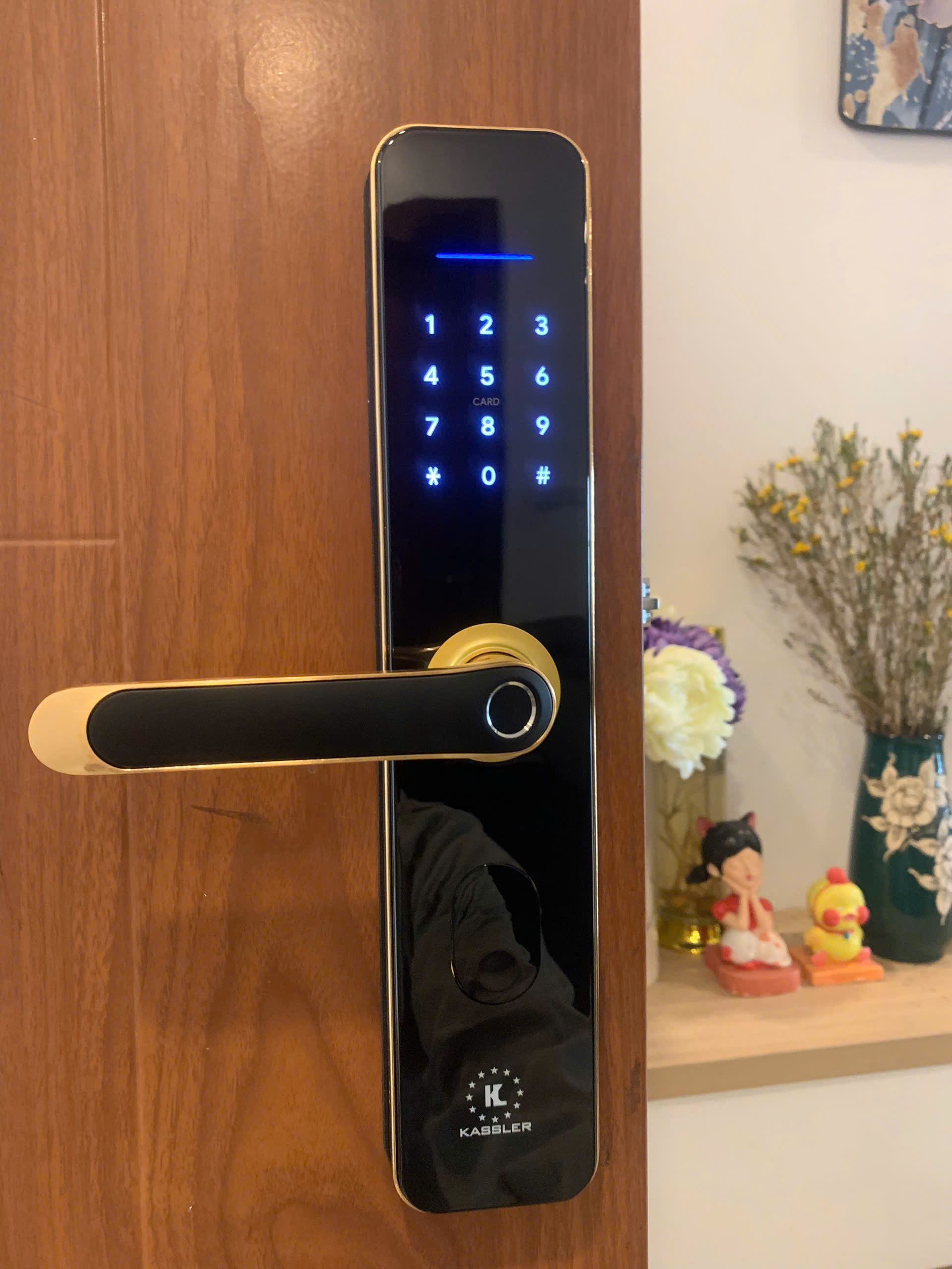 Khóa vân tay Kassler KL-696 Gold