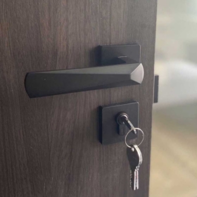 Khóa cửa Leonar L6-Gray