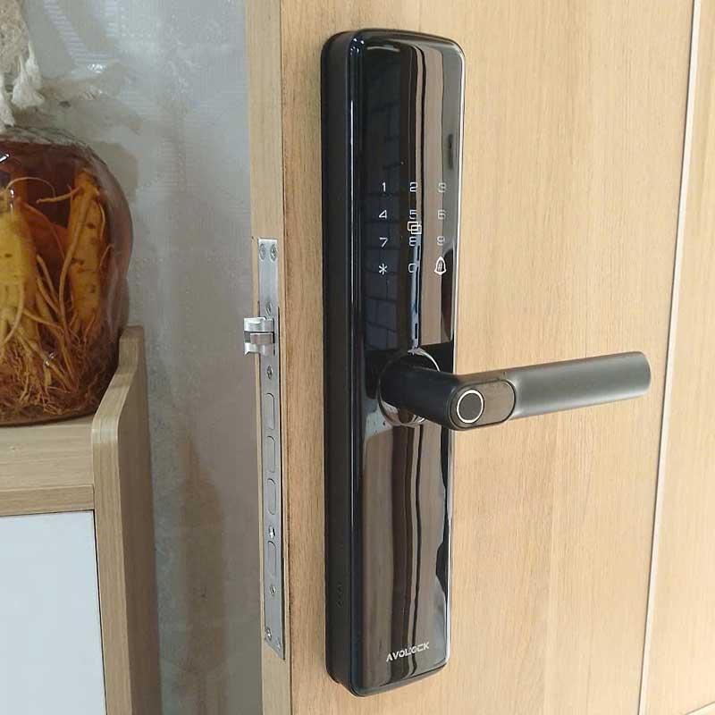 Khóa vân tay Avolock AV 66